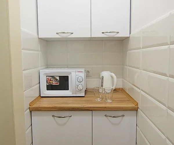 Luxury Near Rynok Square * Lvov